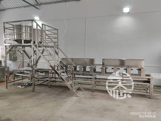 河南步進式豆腐生產線安裝調試現場